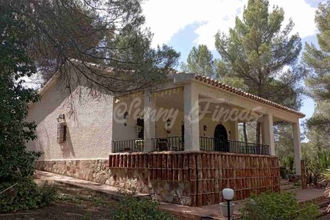 Landejendom i Ayora, Valencia, Ayora - € 186.000 | Ref: SF0459 - foto 32